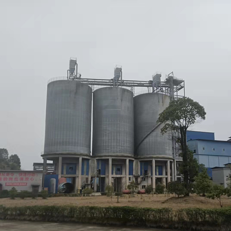 1710925474571091.jpg 1710925474571091.jpg